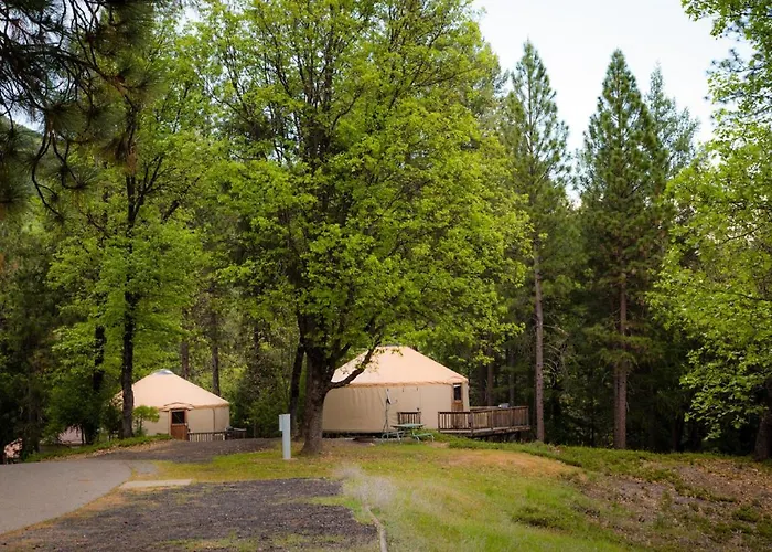 Yosemite Lakes Hillside Yurt 1