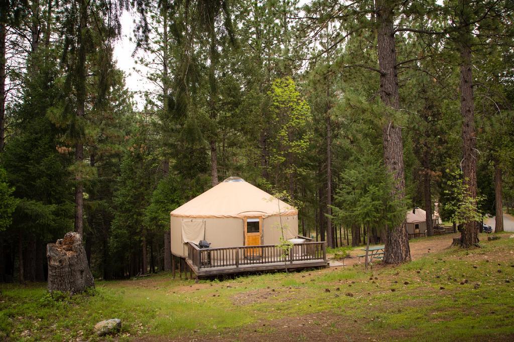 Parco vacanze Yosemite Lakes Hillside Yurt 1 Harden Flat