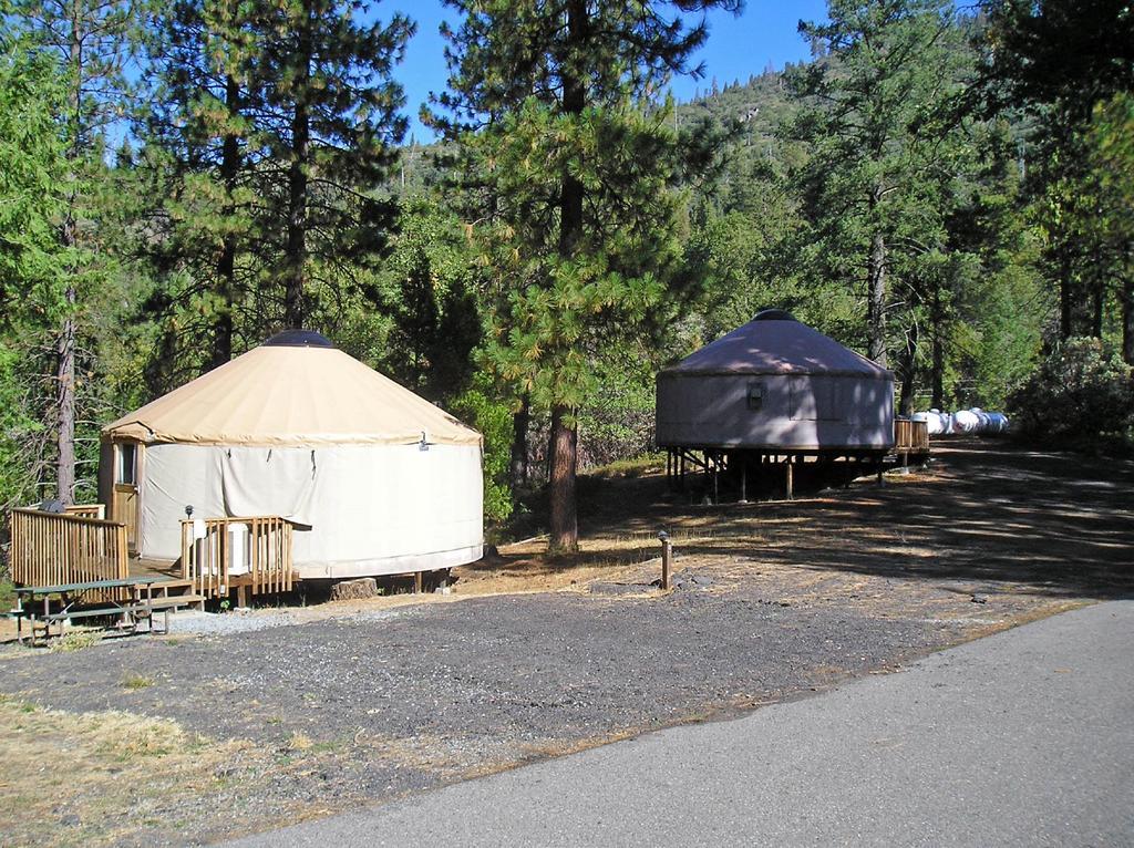 Yosemite Lakes Hillside Yurt 1