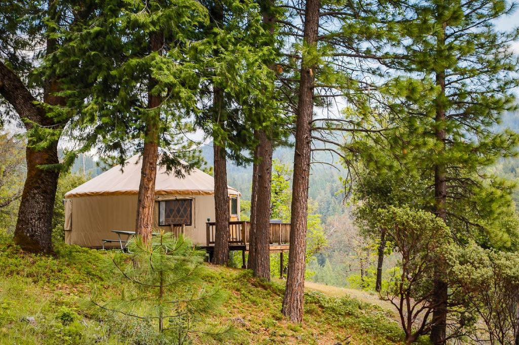 Yosemite Lakes Hillside Yurt 1 *