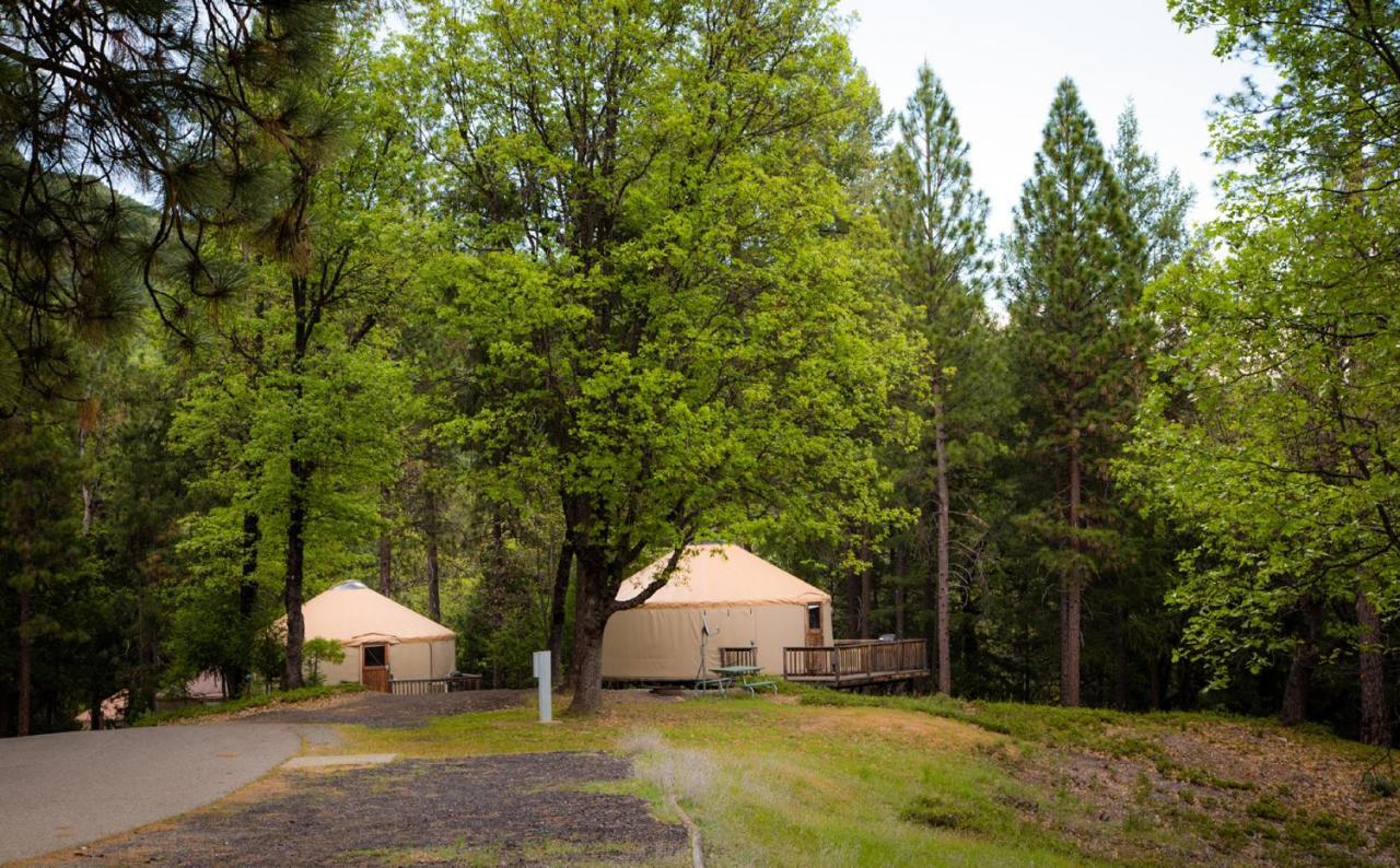 Yosemite Lakes Hillside Yurt 1 Harden Flat